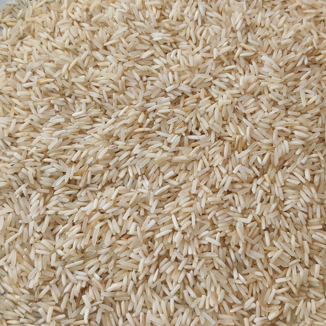 Organic Sesame Seed